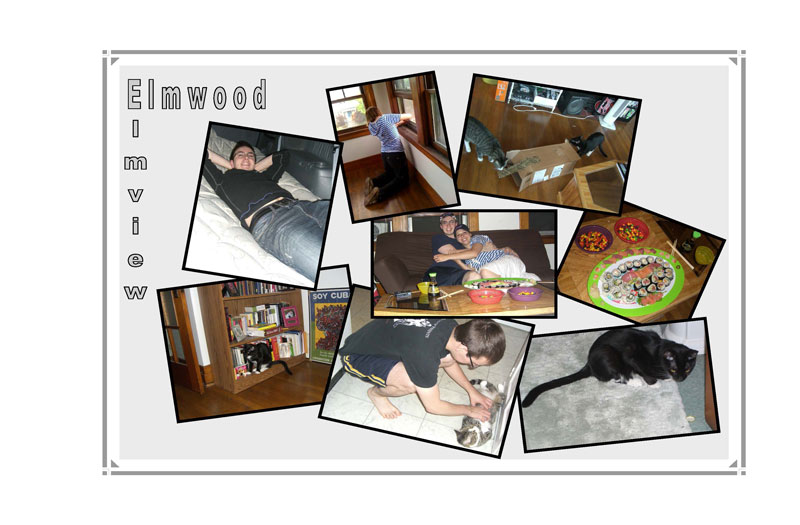 Story of Kate and Nate Kate & Nate Got Married!